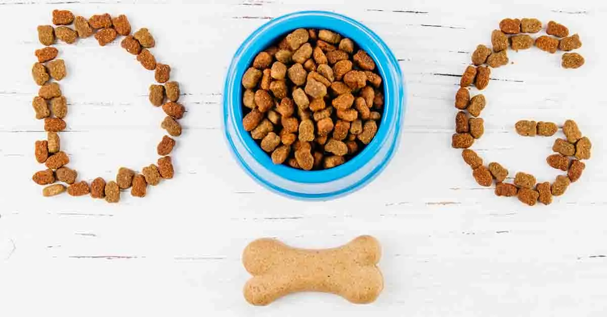 Weight-Gain-Supplements-for-Dogs-3